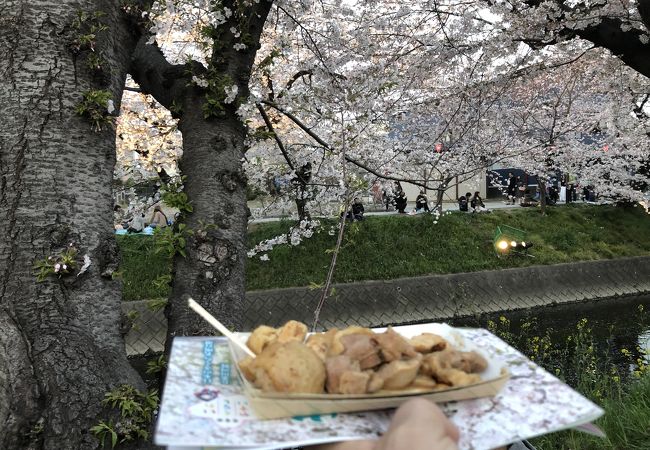 五条川岩倉桜まつり クチコミ アクセス 営業時間 岩倉 江南 フォートラベル 五条川岩倉桜まつり クチコミ アクセス 営業時間 岩倉 江南 フォートラベル