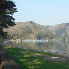 船津公園前の青松の船津浜