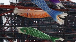 東京タワーで鯉のぼり