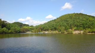 散策に最高です