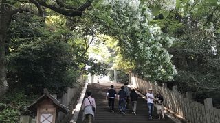 松山城山東雲登城道／愛媛