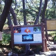 羽衣伝説の説明が。