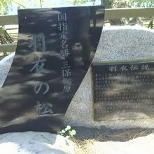 羽衣の松、石の銘板。