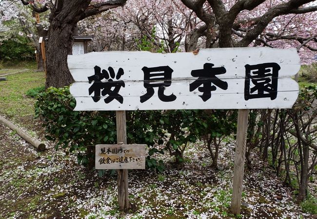 松前半島の花見 クチコミ人気ランキングtop3 フォートラベル 北海道