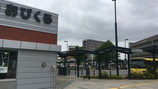 十勝バスと拓殖バスの2社が乗り入れ