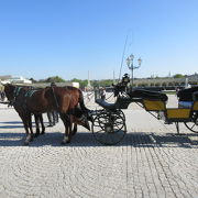 シェーンブルン宮殿の馬車は朝９時からご出勤。