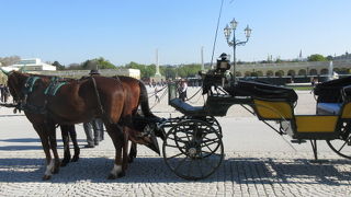 シェーンブルン宮殿の馬車は朝９時からご出勤。