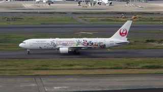 目の前で離発着が見られます