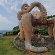 熱帯林を楽しみたいならここ「タコ公園」＿来間島（沖縄県）