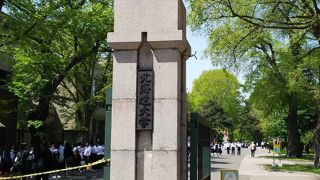 緑がキレイです