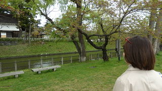 鶴岡中心部の落ち着いた空間