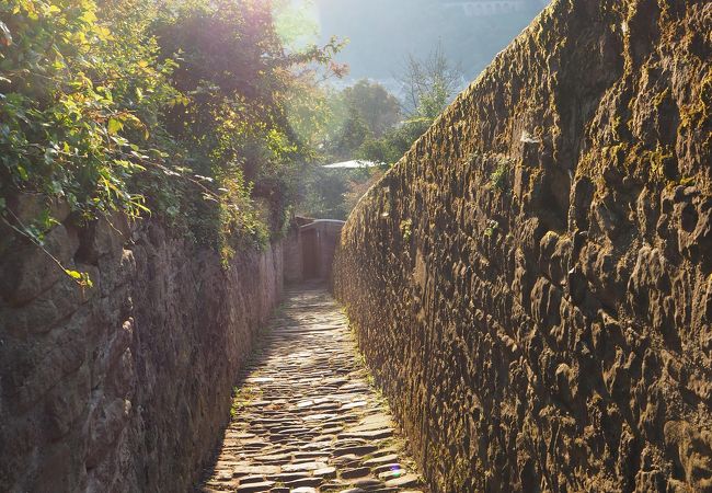 哲学者の道とカールテオドール橋を結ぶ小道