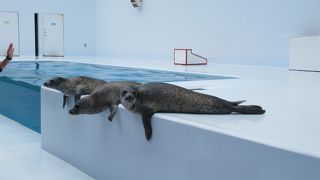 ゴールデンウイークは大混雑