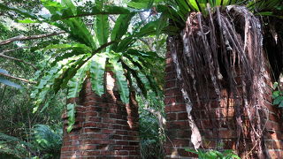 遊歩道で辿れる