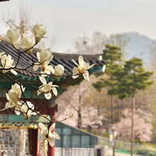 見どころ満載の公園
