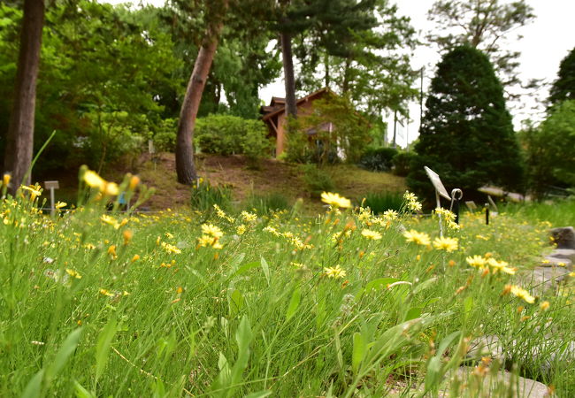 週末は予約なしで入れる