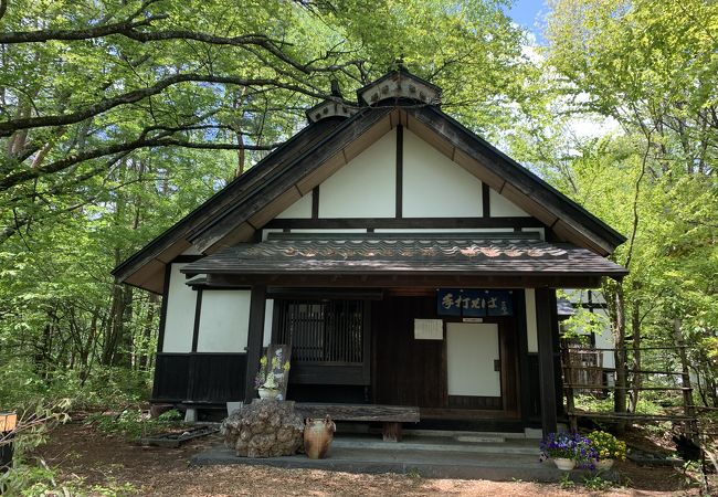 権兵衛峠手前の美味しいお蕎麦で腹ごしらえ