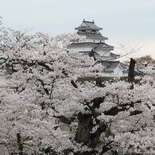 月見櫓からの景色です