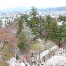 天守閣からの景色です