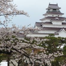 桜と城が抜群