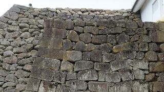 さくら祭り真っ盛りで桜の存在感が素晴らしかった