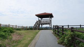 整備された公園