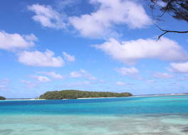 The Beach House (Tonga) 写真