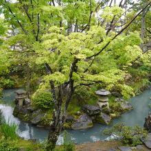うっとりできる日本庭園。