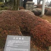 喜多院の歴史