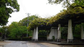 神社とセットで。