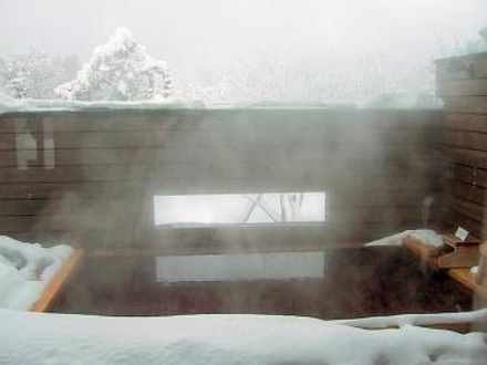 十勝川温泉 三余庵 写真