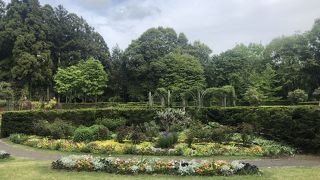 無料の公園にしては素晴らしい