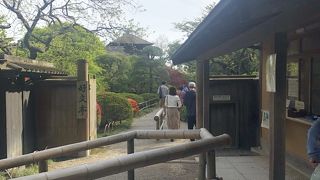 偕楽園の有料スポット