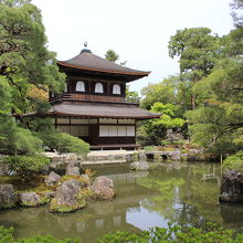 池越しに望む観音堂