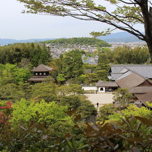 展望台から望む境内。背後は京都市街