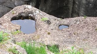 こんなところに♡