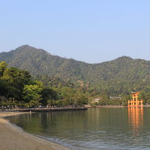 桟橋から厳島神社に向かう参道。昼前にはここまで行列が