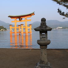 石灯籠と大鳥居