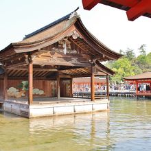 少し斜めの角度から