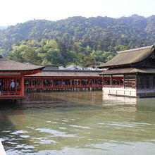 最初は裏側が見え、能舞台だと分からない