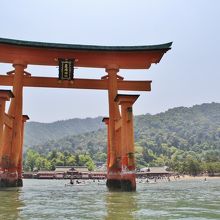 海上側から見た大鳥居。背後に本殿