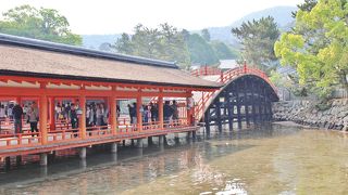 朱色の映える反橋