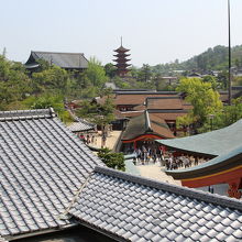 多宝塔付近より、厳島神社境内出口と五重塔