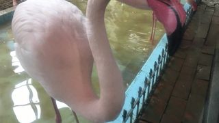 ちょっとした日に！