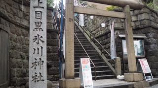 桜の時期の限定御朱印