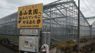 いちごはうす嘉山農園