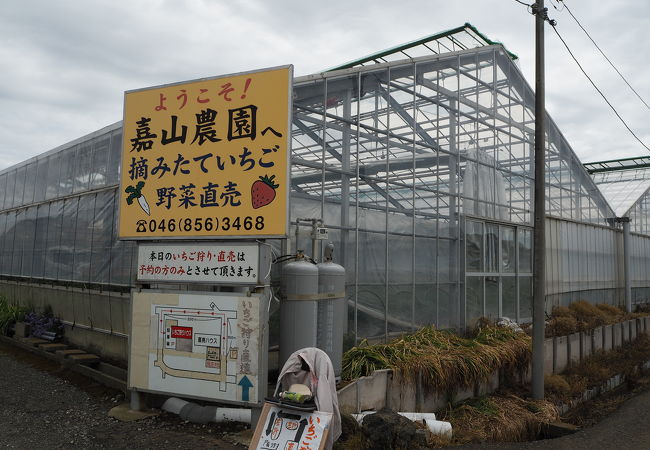 いちごはうす嘉山農園