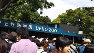 シャンシャン観たかった