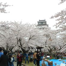 公園に入ってすぐの場所です