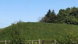 ひとつひとつに味があります